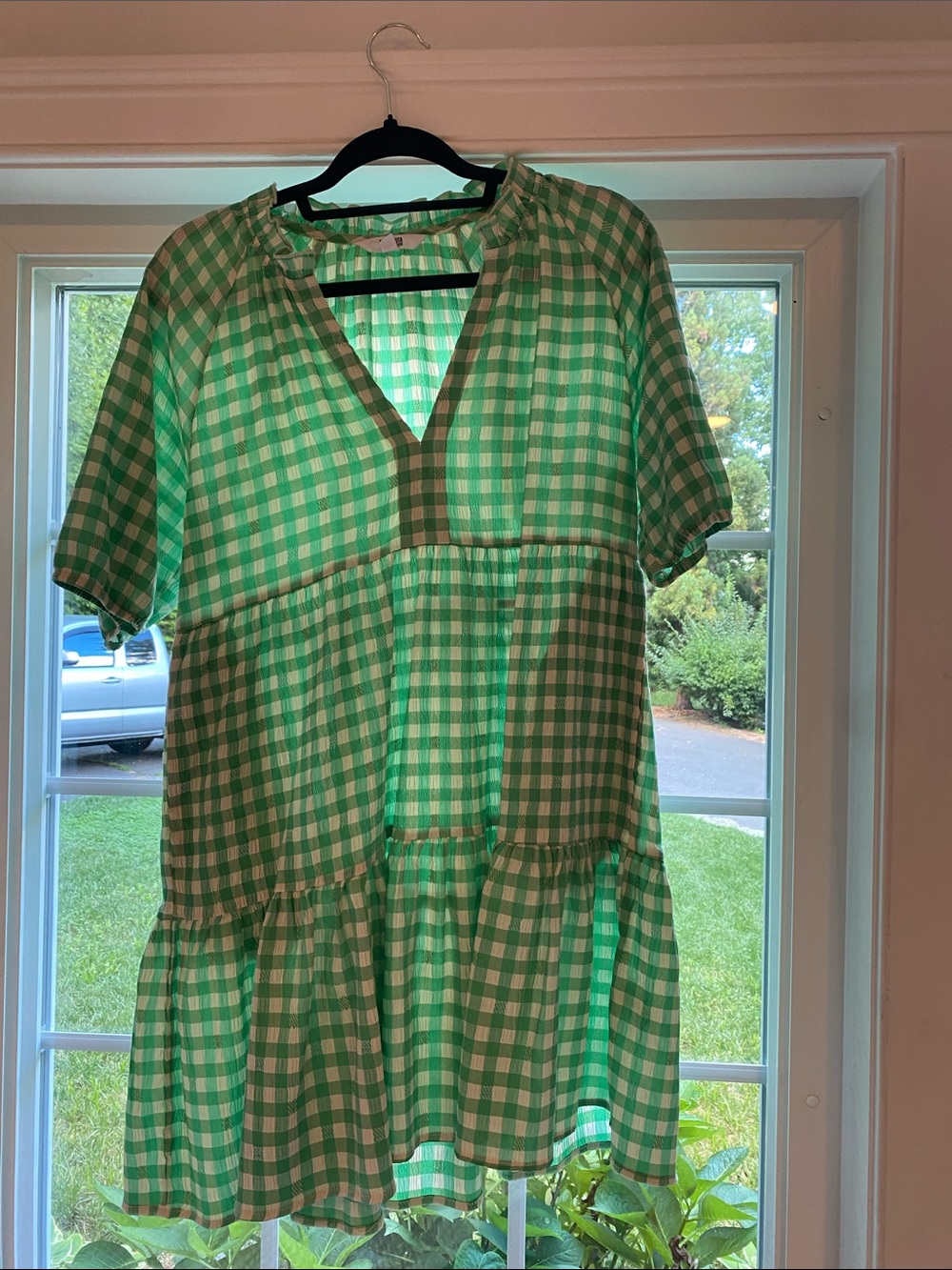 green gingham dress bb dakota